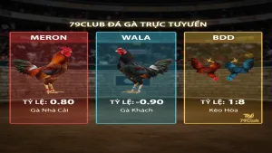 Hướng dẫn đọc các loại kèo đá gà phổ biến hiện nay 79Club