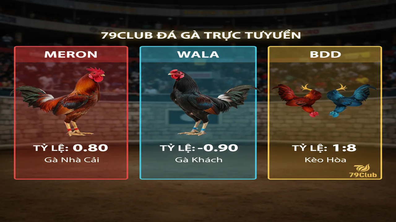 Hướng dẫn đọc các loại kèo đá gà phổ biến hiện nay 79Club